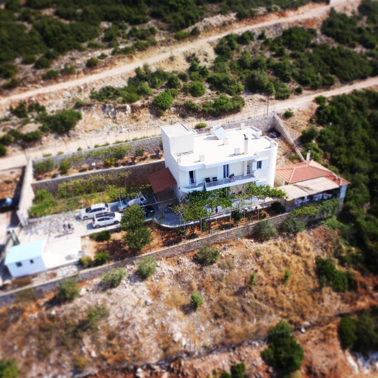 Villa Filip Vuno Zewnętrze zdjęcie